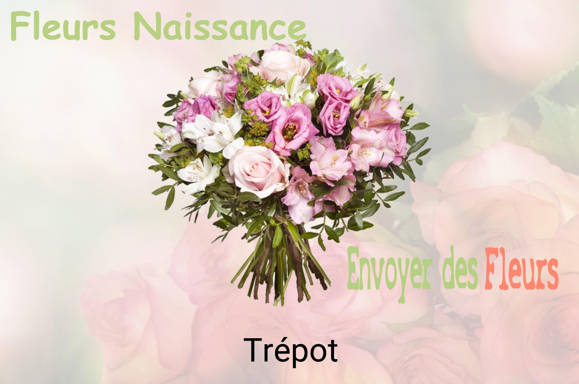 Bouquet de fleurs de naissance livré à Trépot
