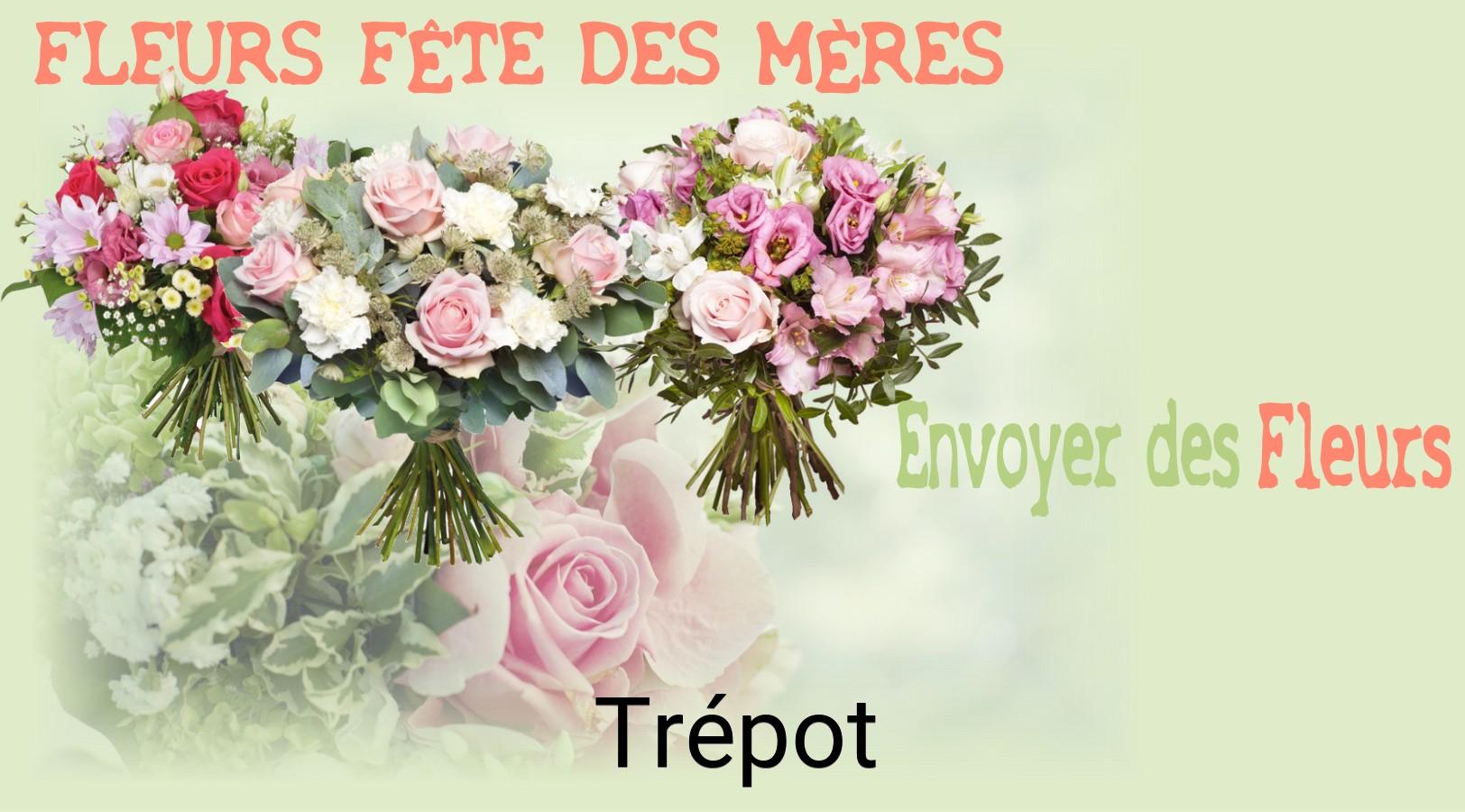 Bouquet de Fête des Mères livré à Trépot